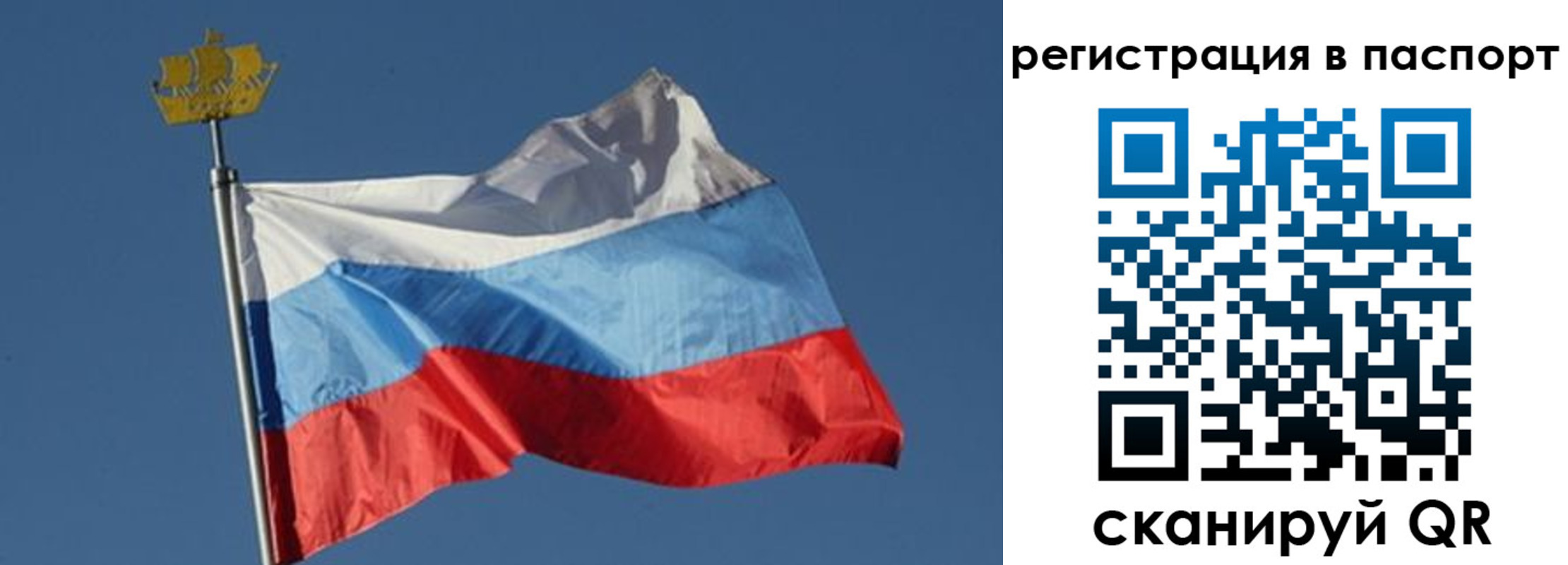 временная регистрация законно в Реутове